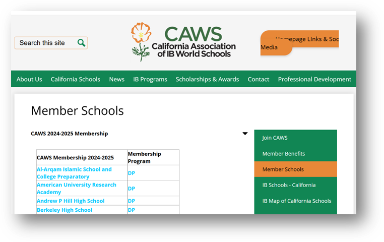 newsletter-february-2025-auracademy-03 newsletter-february-2025-auracademy-03